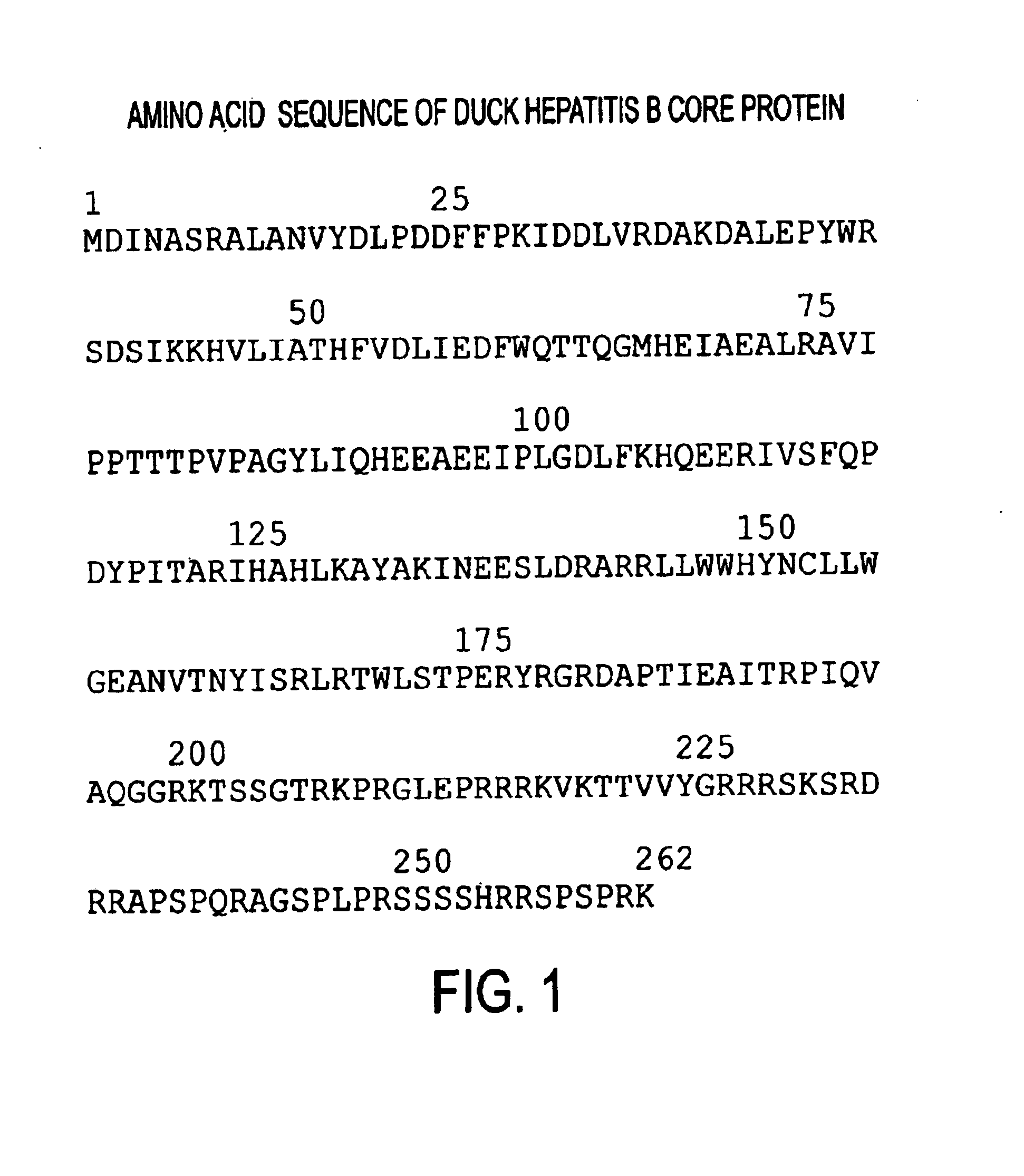 Advanced antigen presentation platform