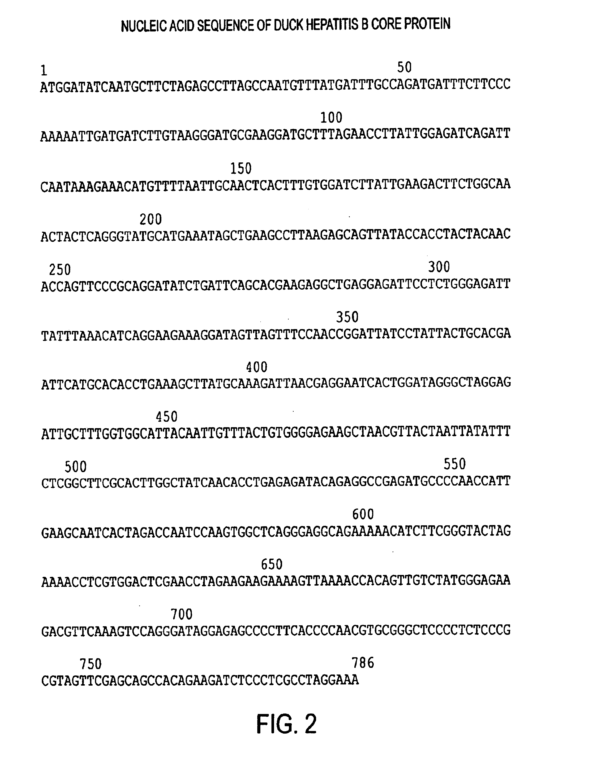 Advanced antigen presentation platform