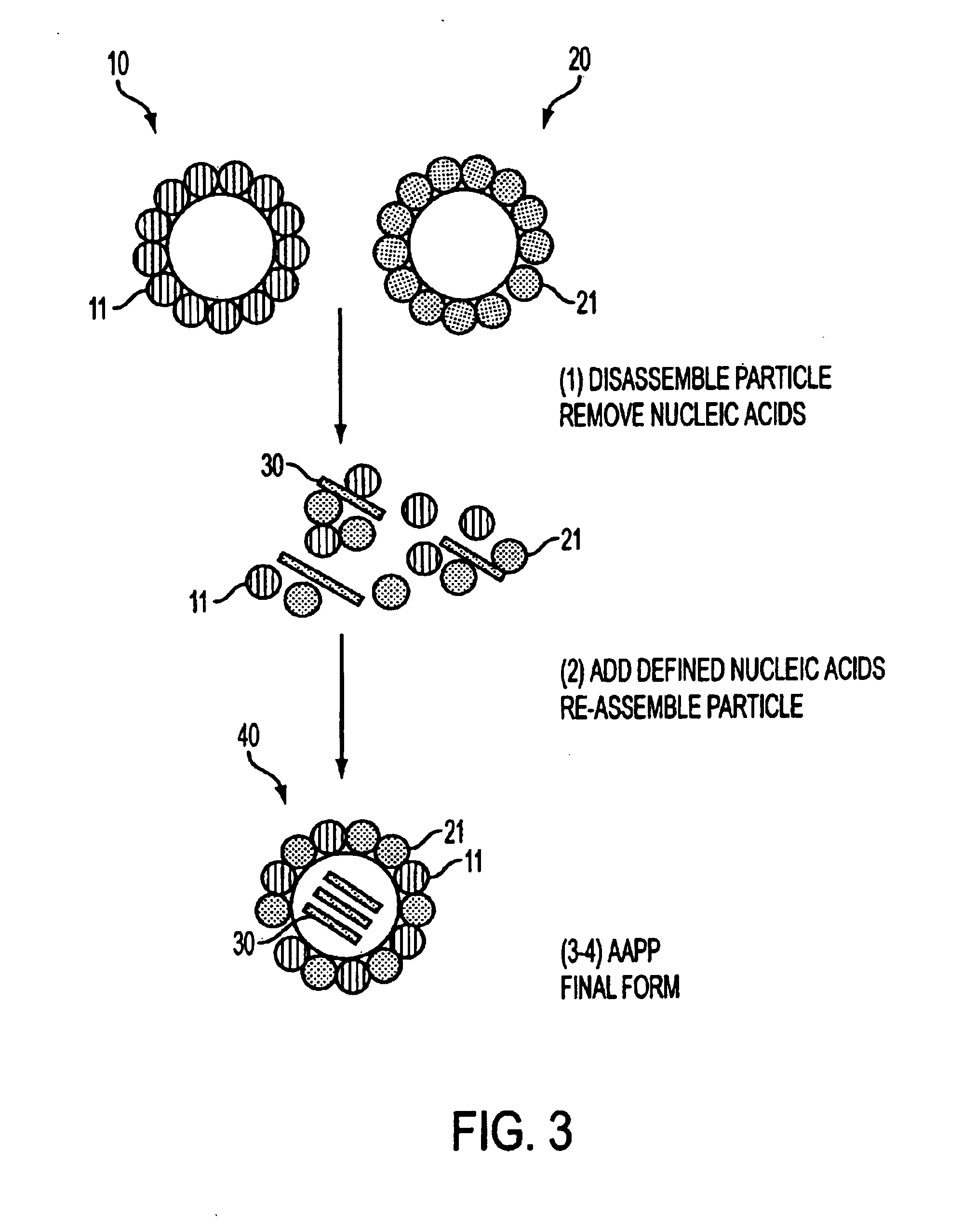 Advanced antigen presentation platform