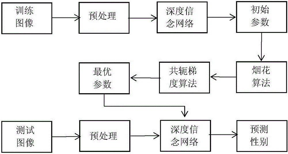 Fireworks depth belief network-based face gender recognition method