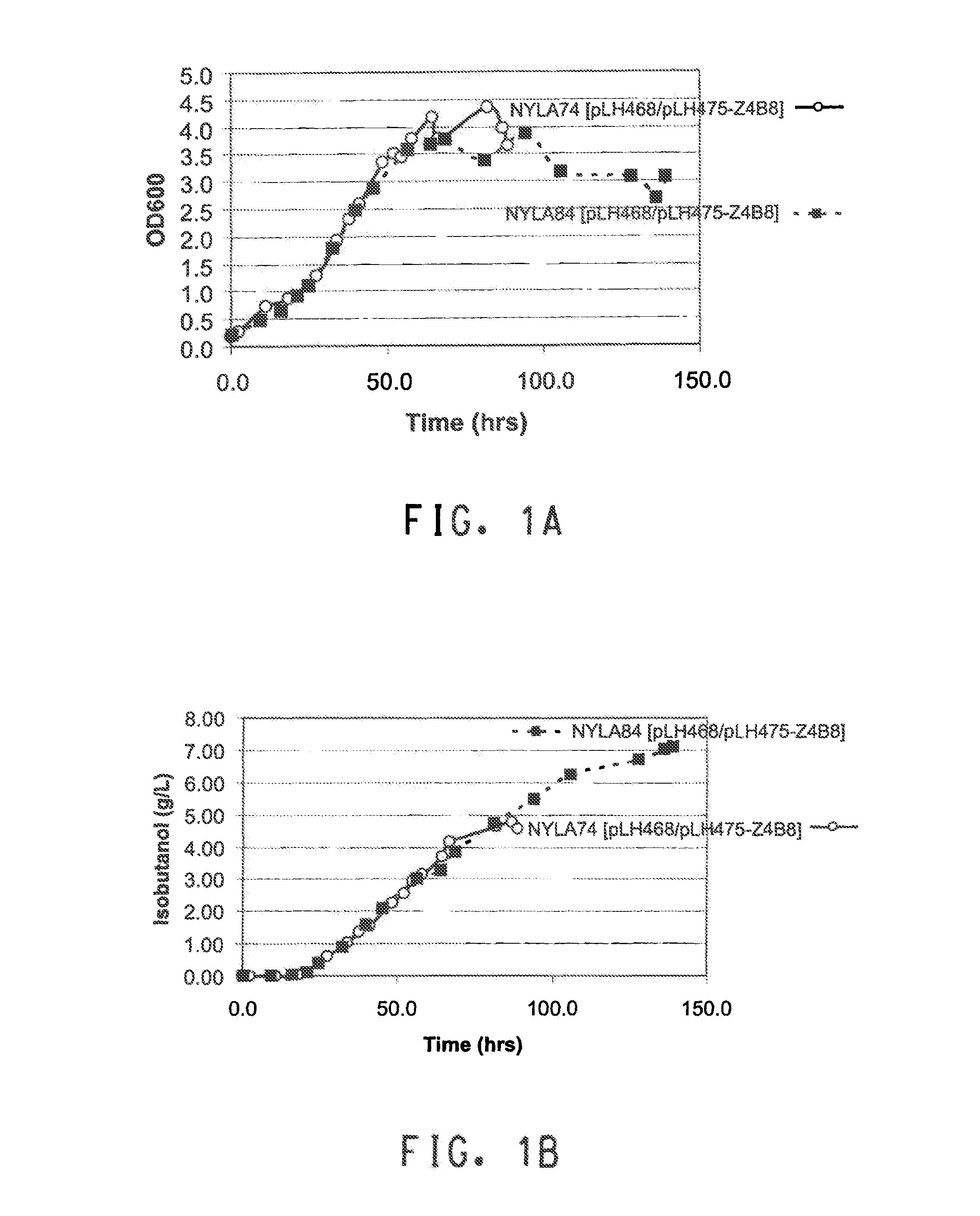 Expression of Hexose Kinase in Recombinant Host Cells