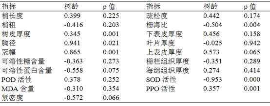 A kind of ancient camphor tree age prediction method