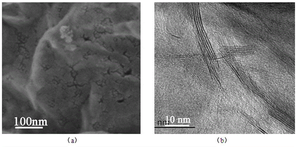 WS2 porous nanosheet/graphene electrochemical magnesium storage composite electrode and preparation method