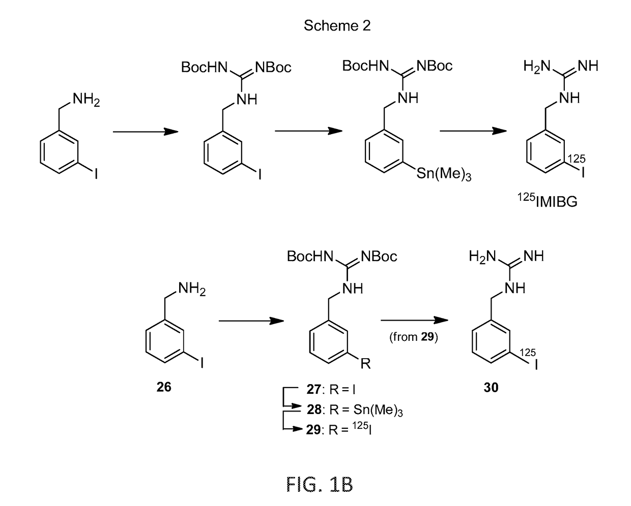 Mibg analogs and uses thereof