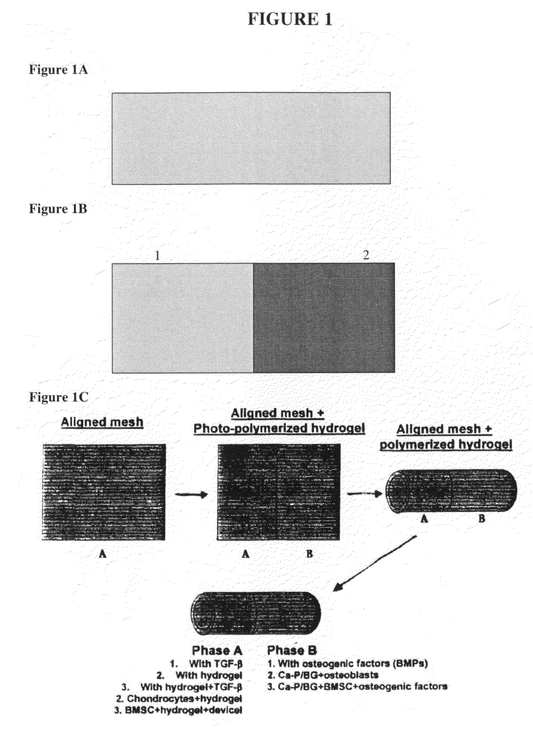 Graft collar and scaffold apparatuses for musculoskeletal tissue engineering and related methods