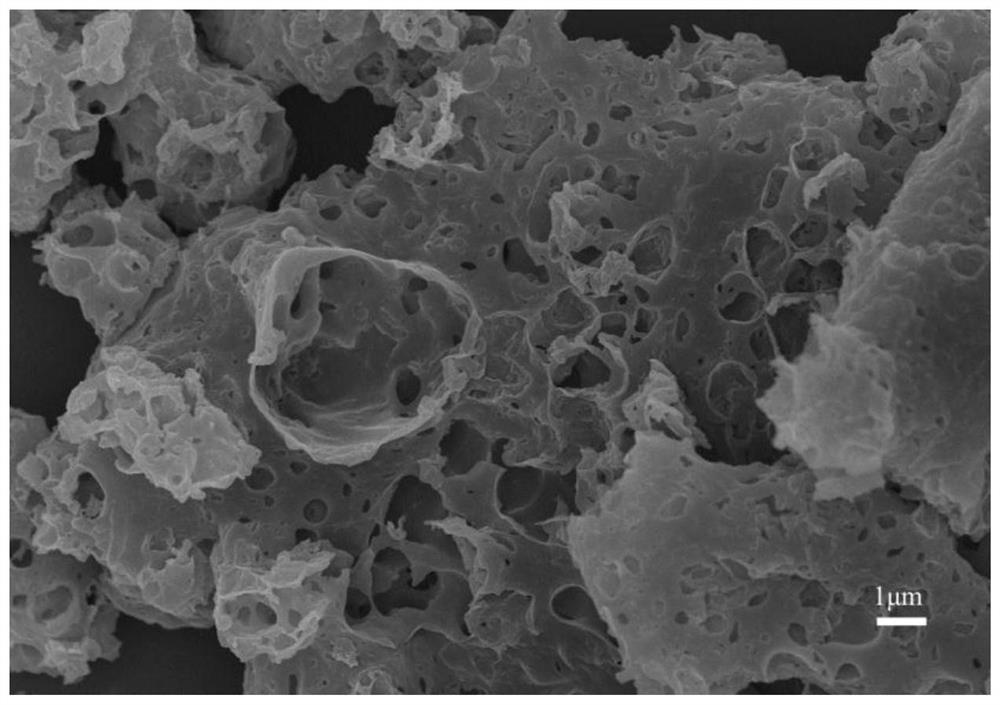 Purple-root water hyacinth-based graded porous carbon material and preparation method and application thereof in supercapacitor