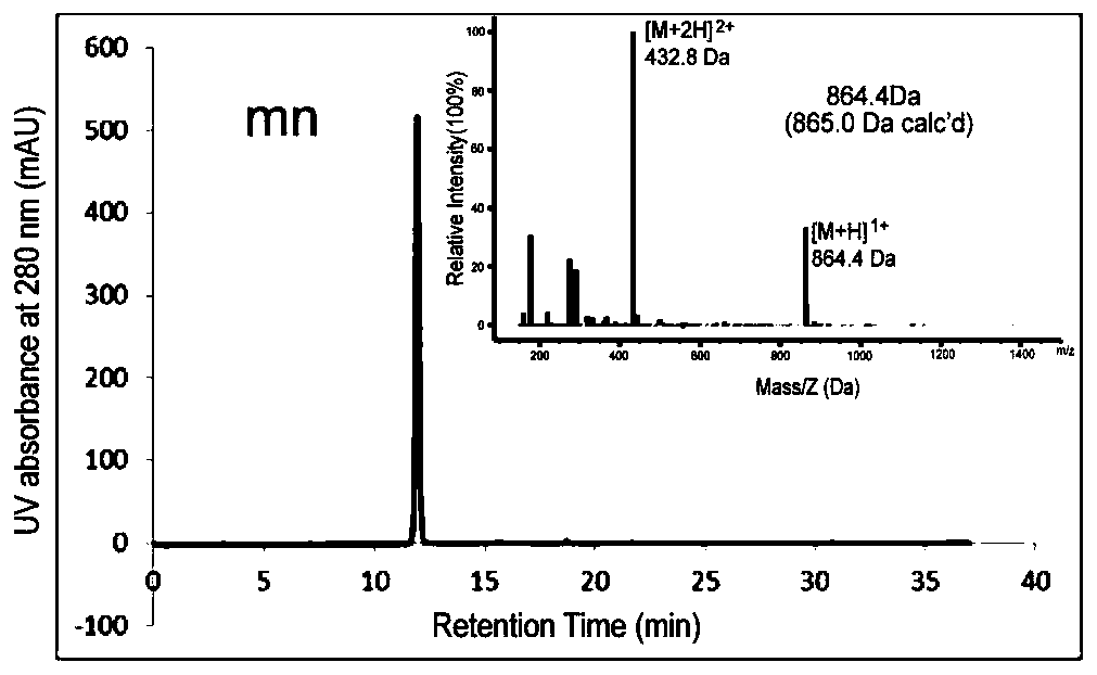 Integrin-targetable polypeptide mn and application thereof in preparing tumor targeting drugs