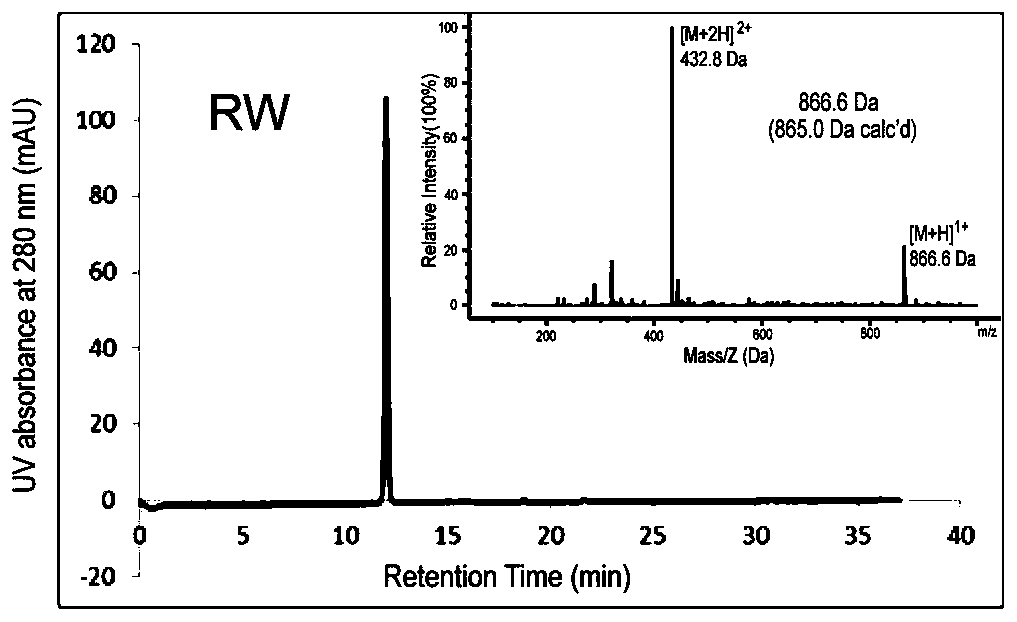 Integrin-targetable polypeptide mn and application thereof in preparing tumor targeting drugs