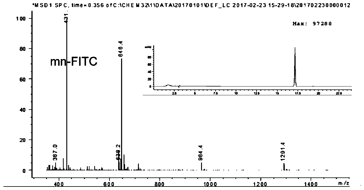 Integrin-targetable polypeptide mn and application thereof in preparing tumor targeting drugs