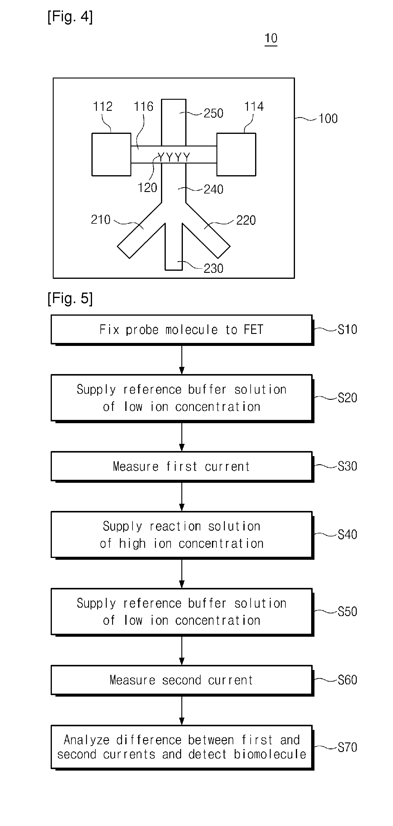 Apparatus and method for detecting biomolecules