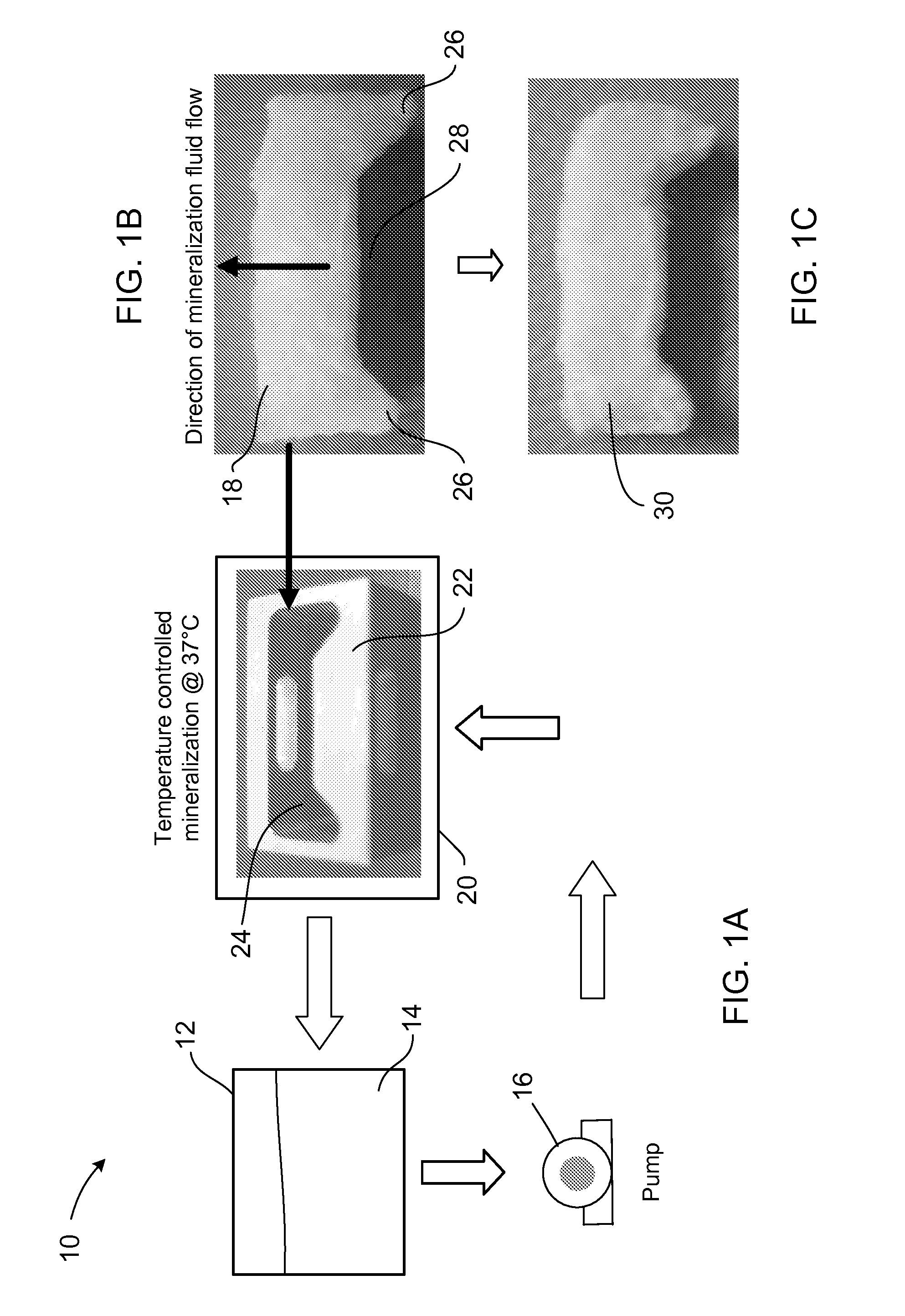 Fabrication of bone regeneration scaffolds and bone filler material using a perfusion flow system