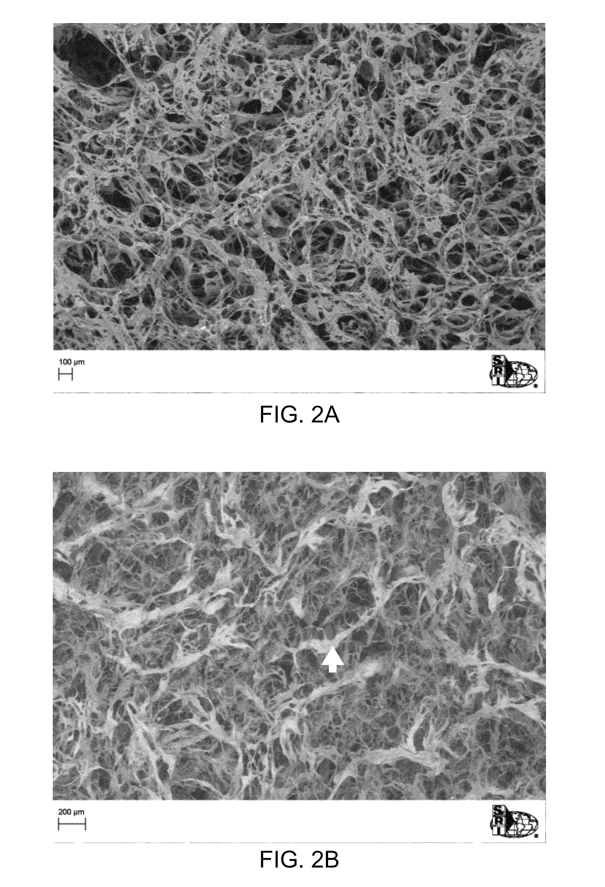 Fabrication of bone regeneration scaffolds and bone filler material using a perfusion flow system