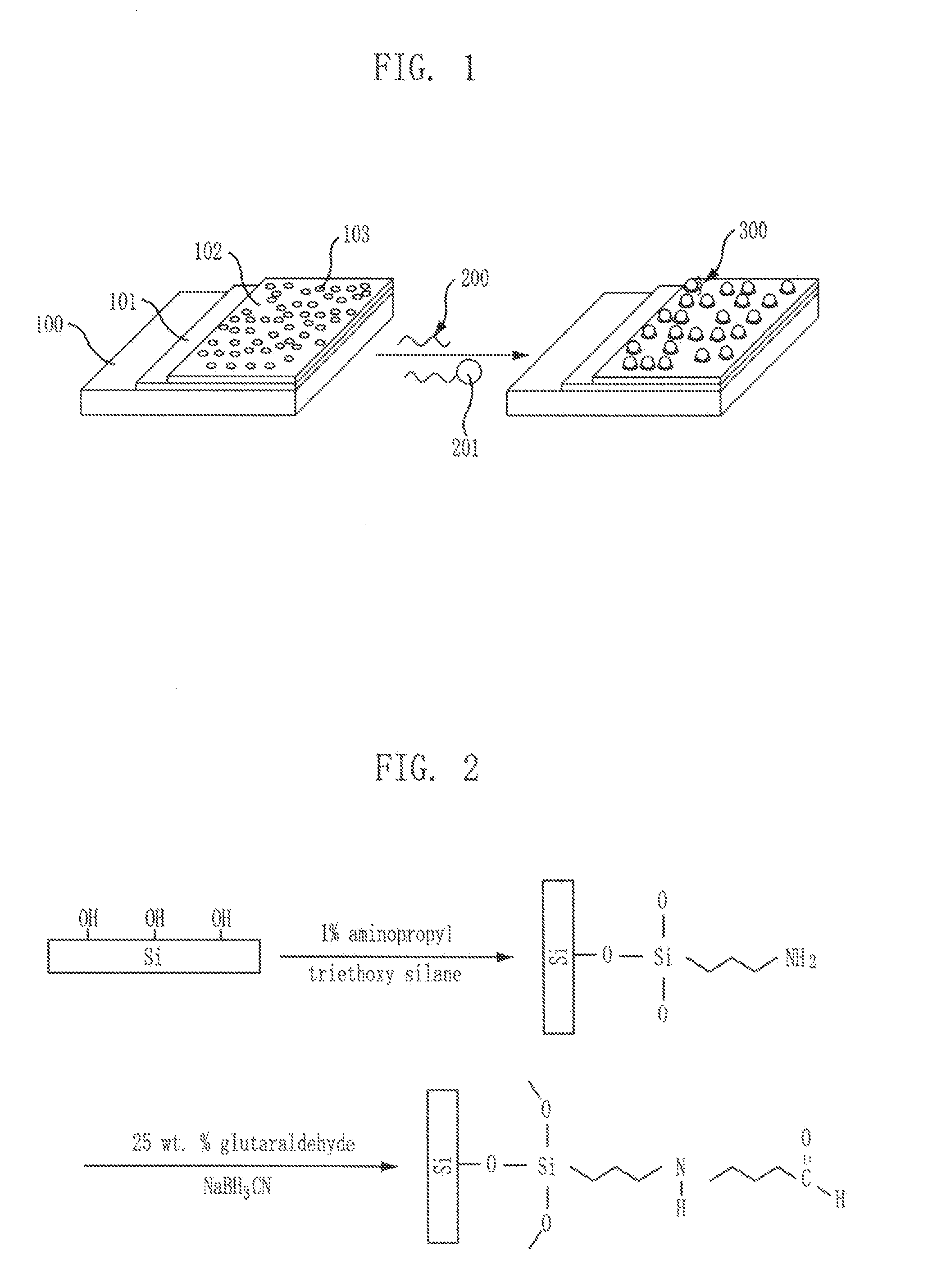 Substrate for analyzing coverage of self-assembled molecules and analyzing method using the same