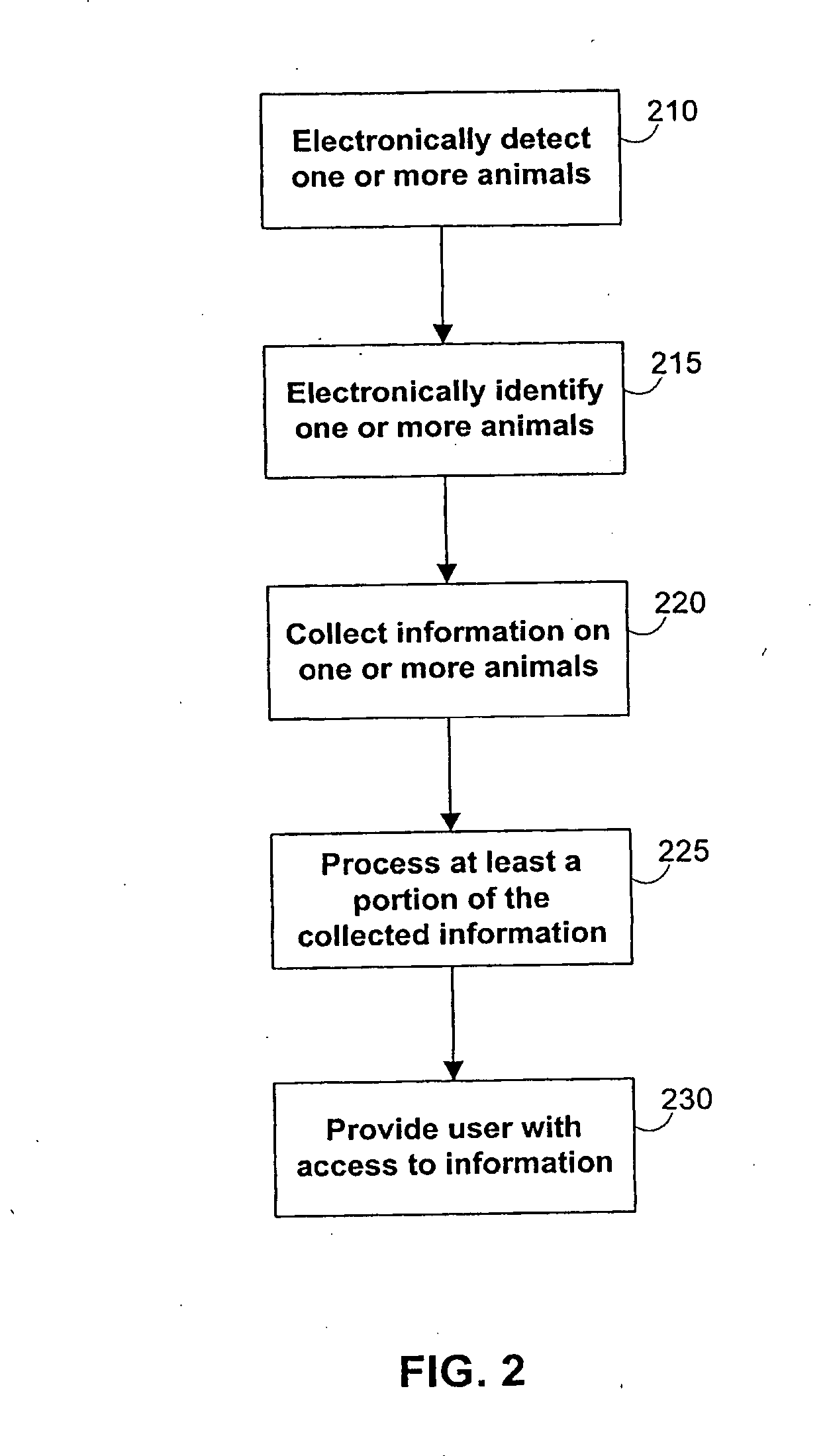 Liverstock management systems and methods