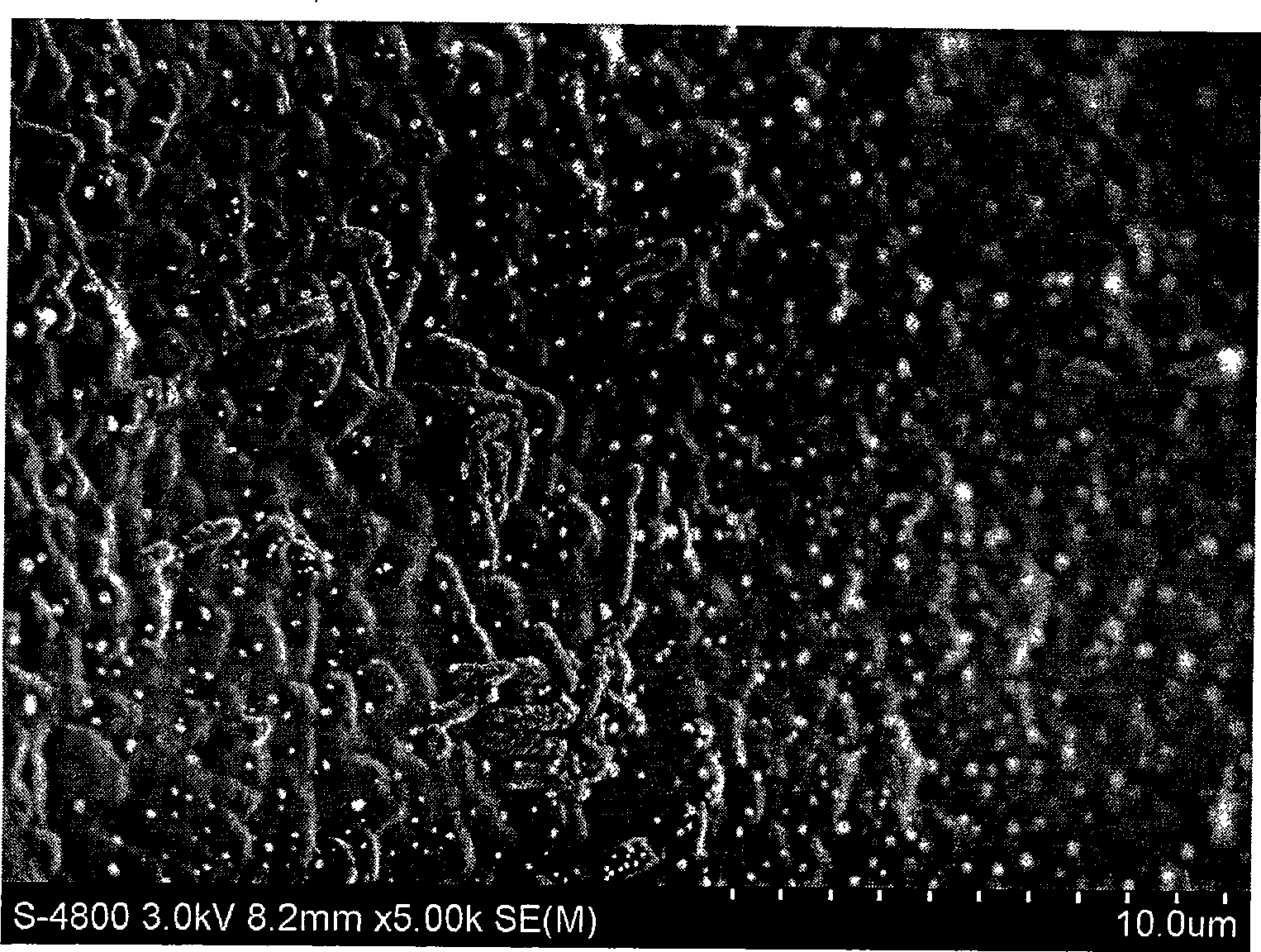 A strain of Acetobacter gluconicum and screen purification method thereof