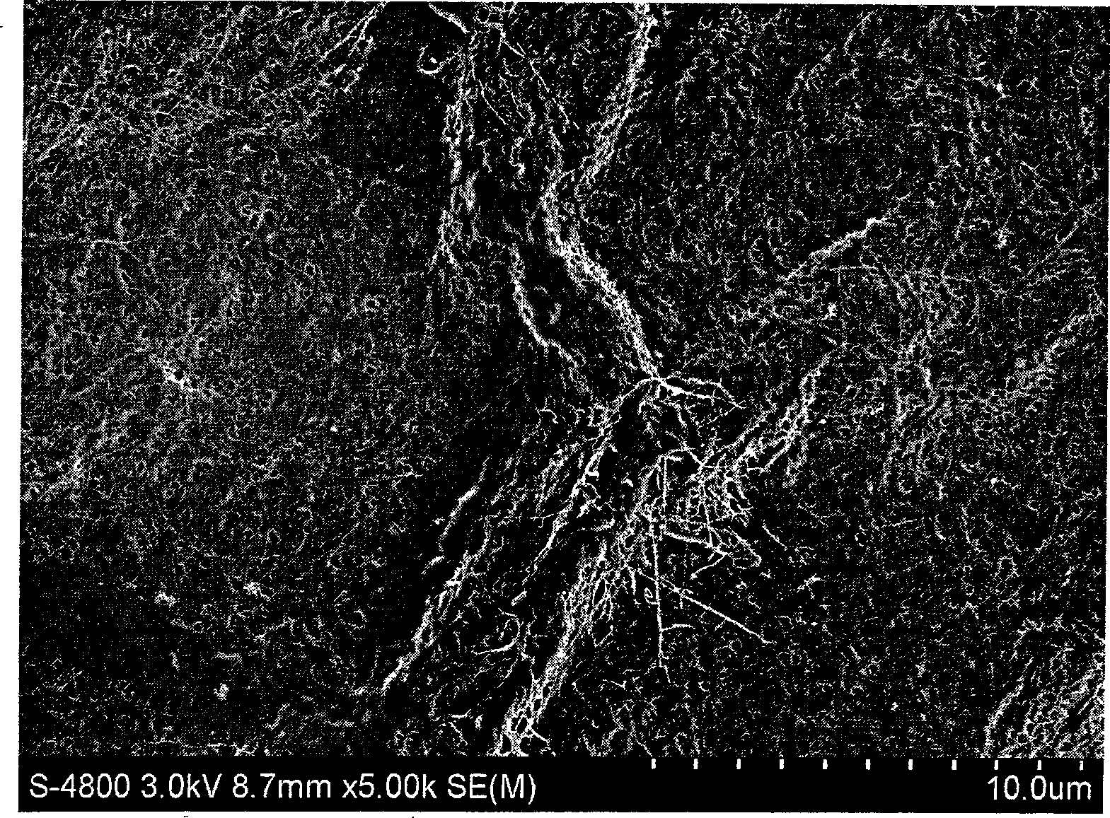 A strain of Acetobacter gluconicum and screen purification method thereof