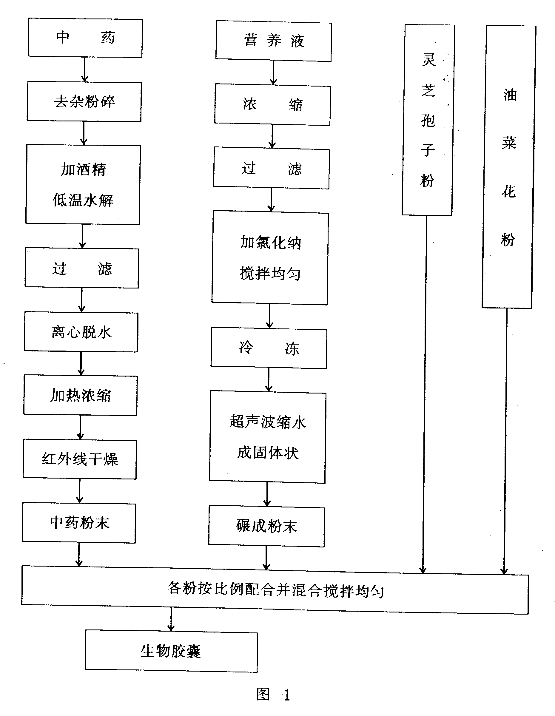 Biological capsule for treating cardiac and cerebral vascular diseases