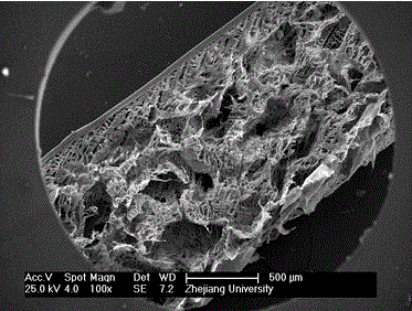 Artificial bile duct bionic stent with double-layered compound structure and preparation method of artificial bile duct bionic stent