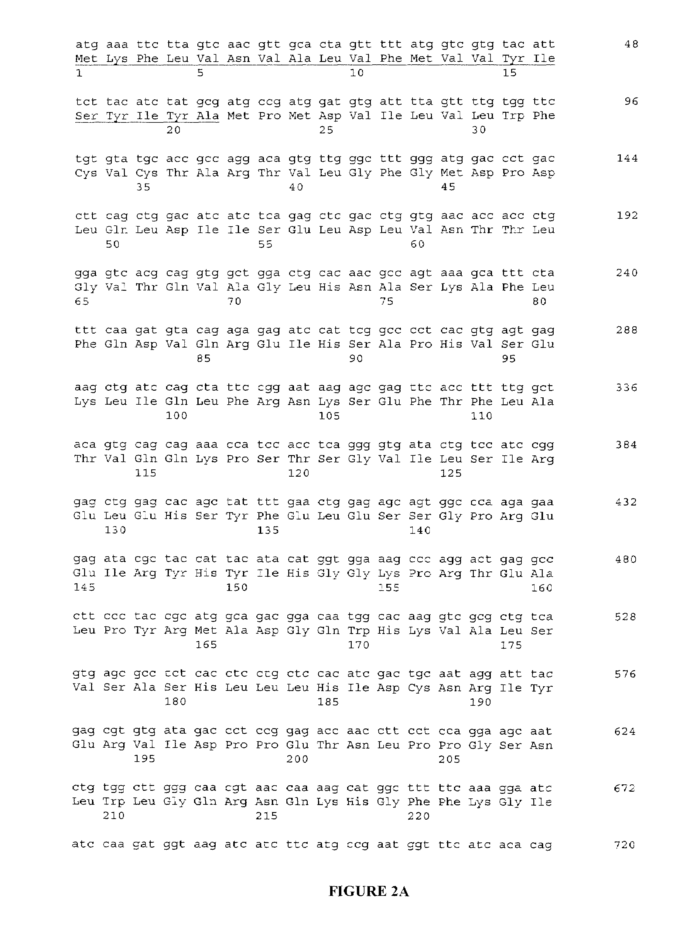 Expression system of NELL peptide