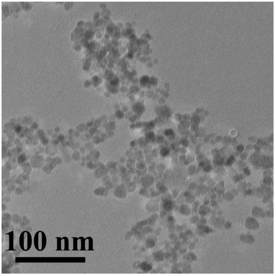 Nano magnetic fluid composite material coated with polyamino acid and preparation method thereof