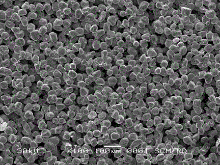 Copper powder used for ultrathin vapor chamber and manufacturing method thereof