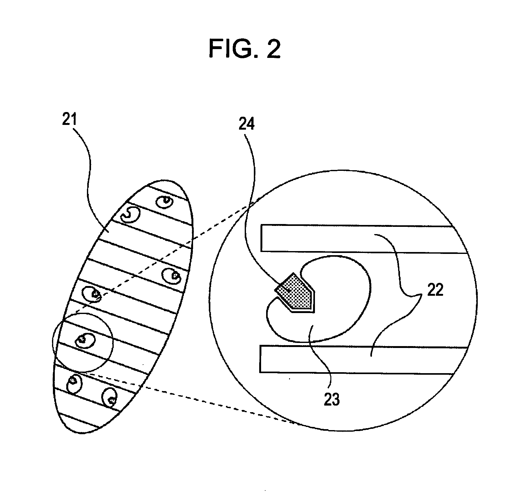 Particle having mesopore loaded with biological substance, sensor including the same, and method for detecting specimen