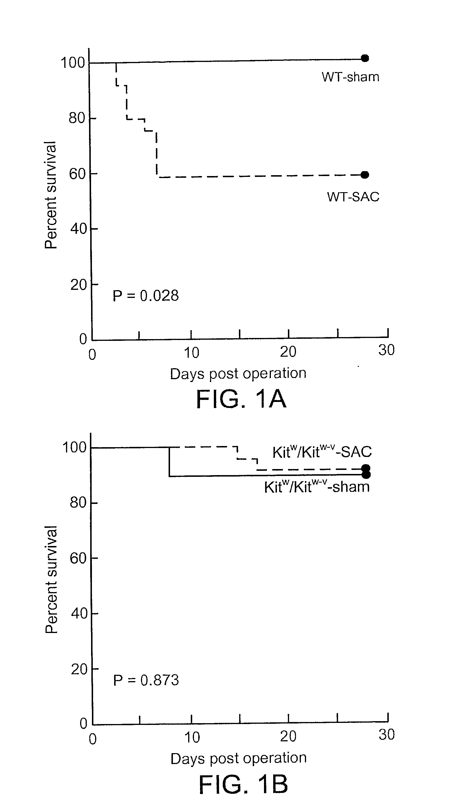 Modulators of cardiac cell hypertrophy and hyperplasia