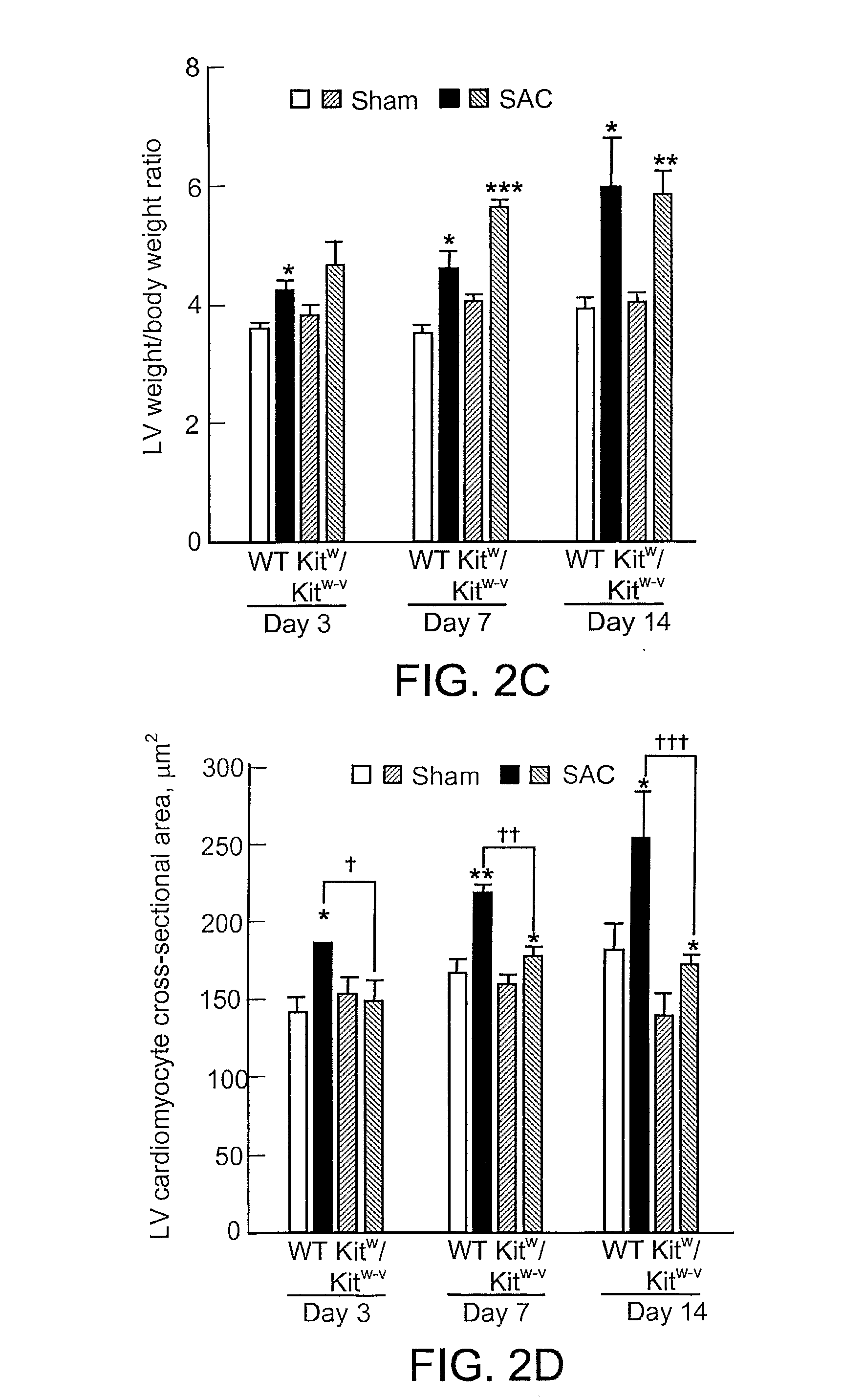 Modulators of cardiac cell hypertrophy and hyperplasia