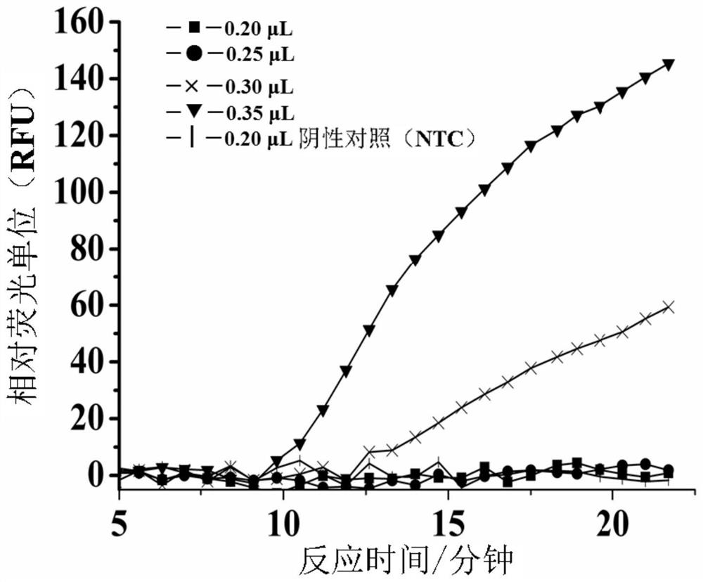 Method and kit for amplifying and detecting nucleic acid