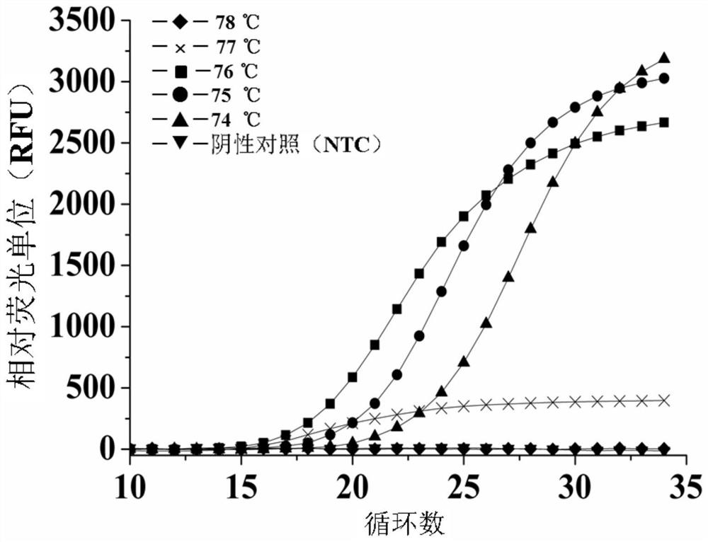 Method and kit for amplifying and detecting nucleic acid