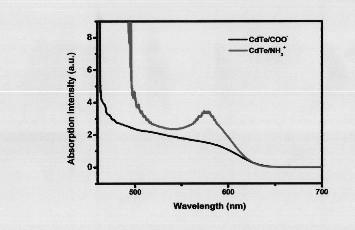 Method for preparing semiconductor quantum dot fluorescent reagent for imprint display and extraction