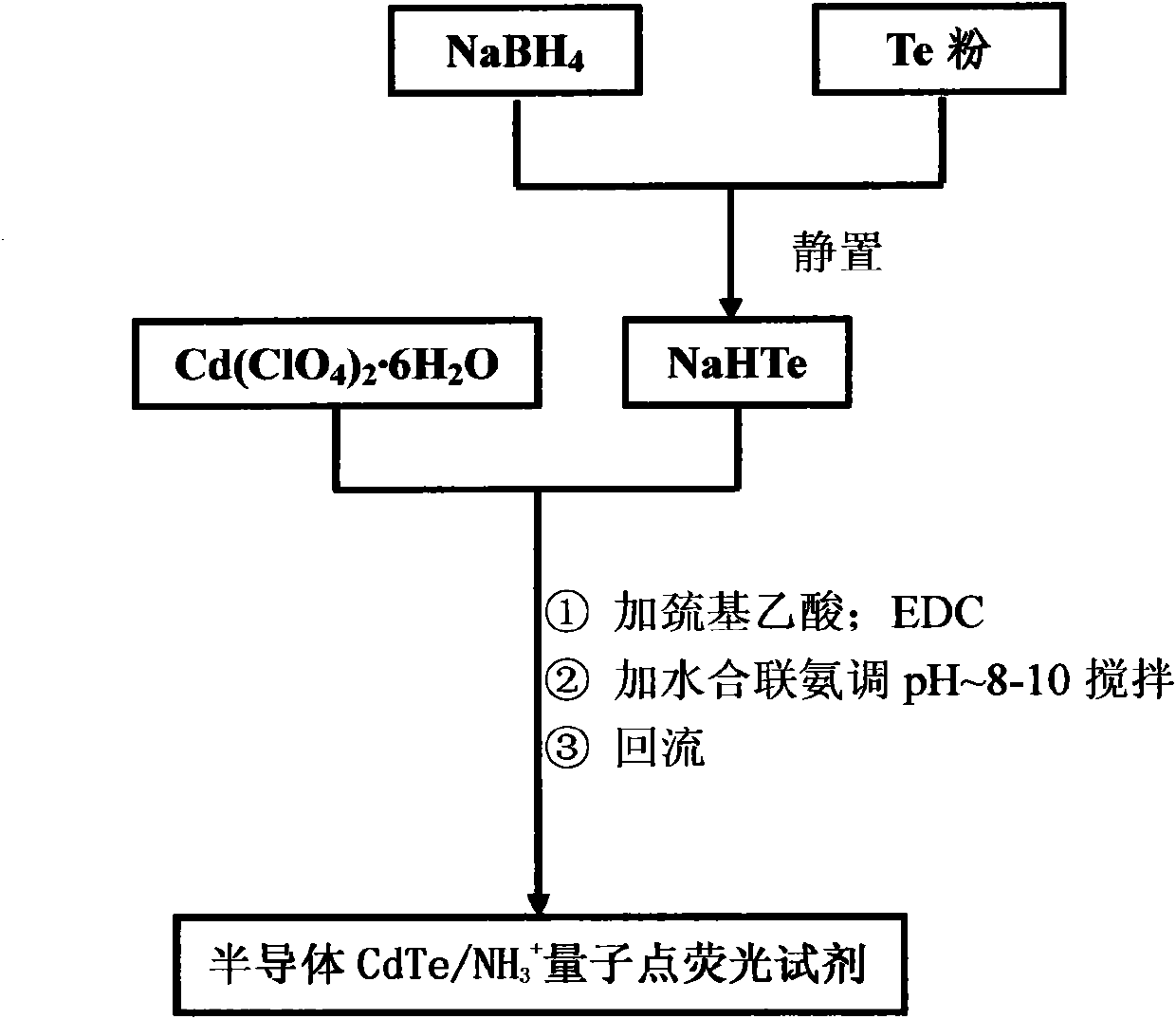 Method for preparing semiconductor quantum dot fluorescent reagent for imprint display and extraction