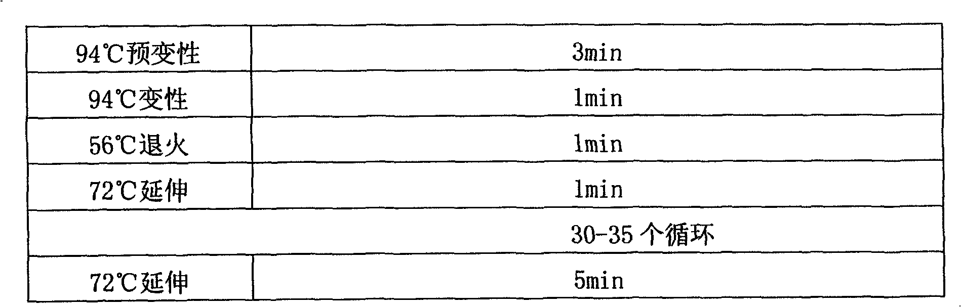 Bacillus subtilis dcy-1 and application thereof in biofermentation