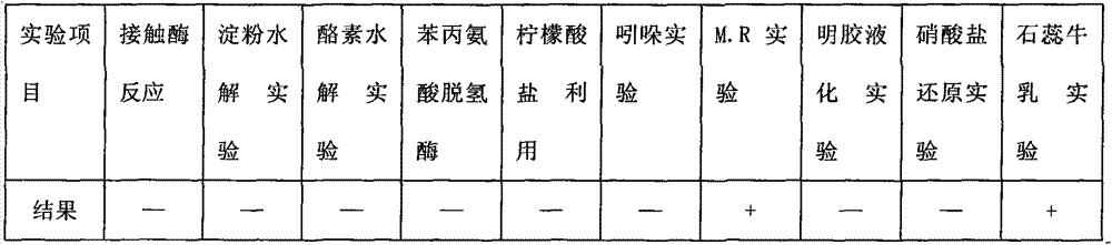 Lactobacillus casei and culture medium thereof