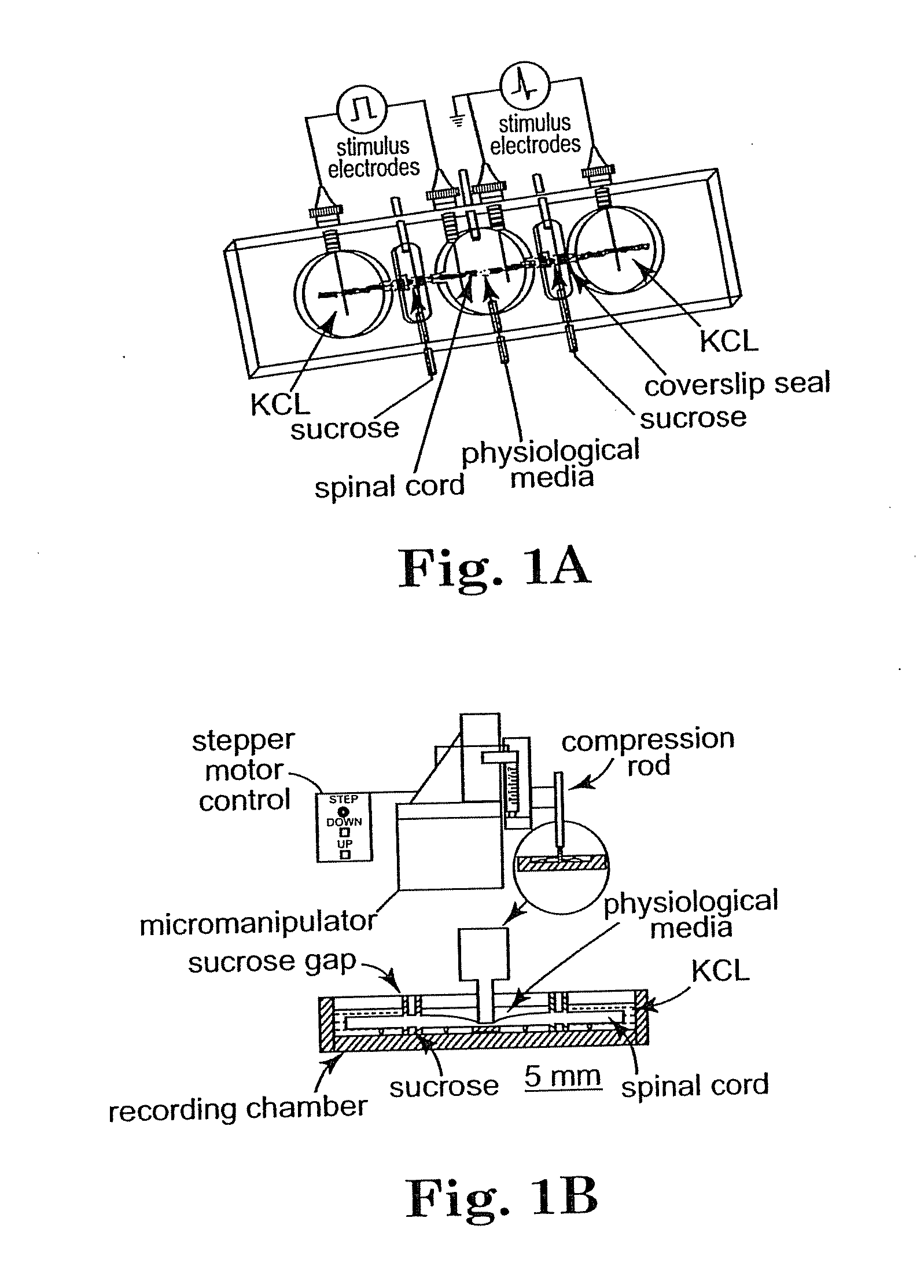 Methods and Compositions for Treating Mammalian Nerve Tissue Injuries