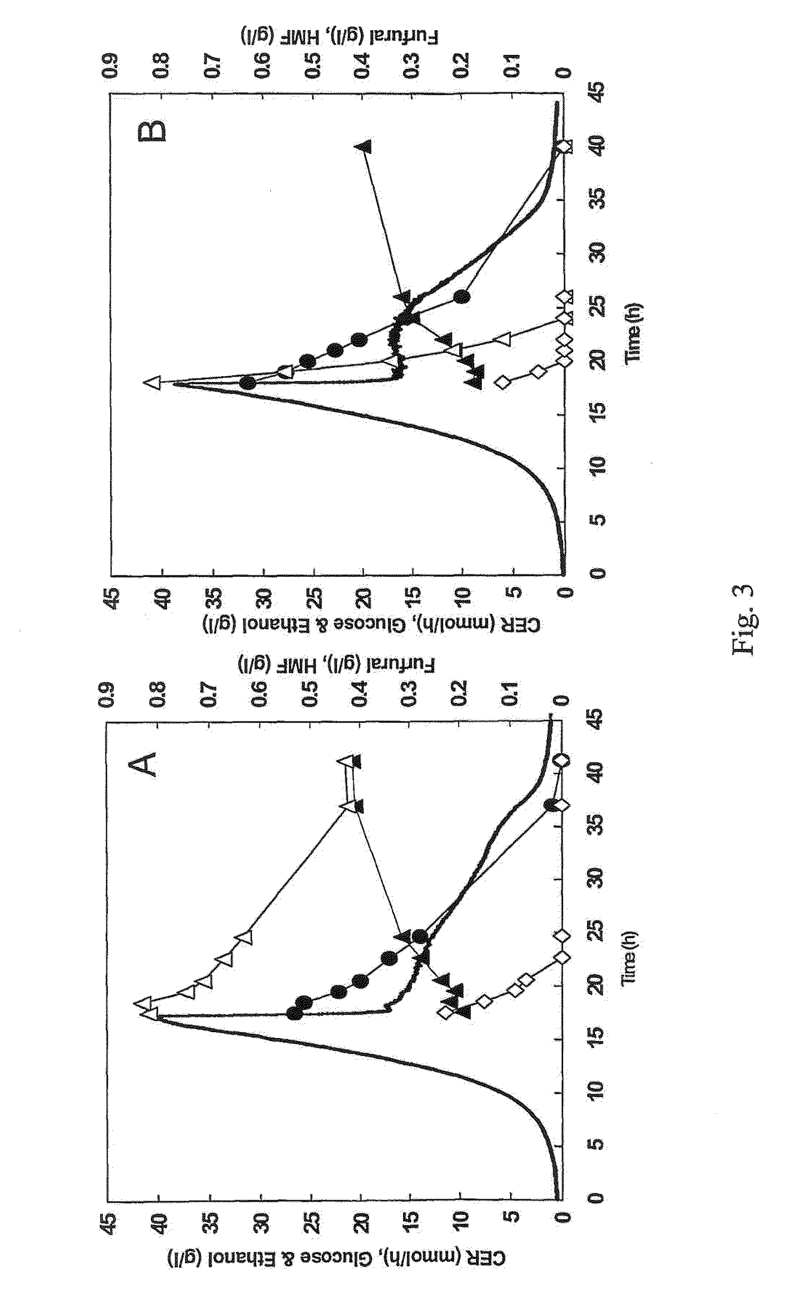 Polypeptide having hadh dependent hmf reductase activity