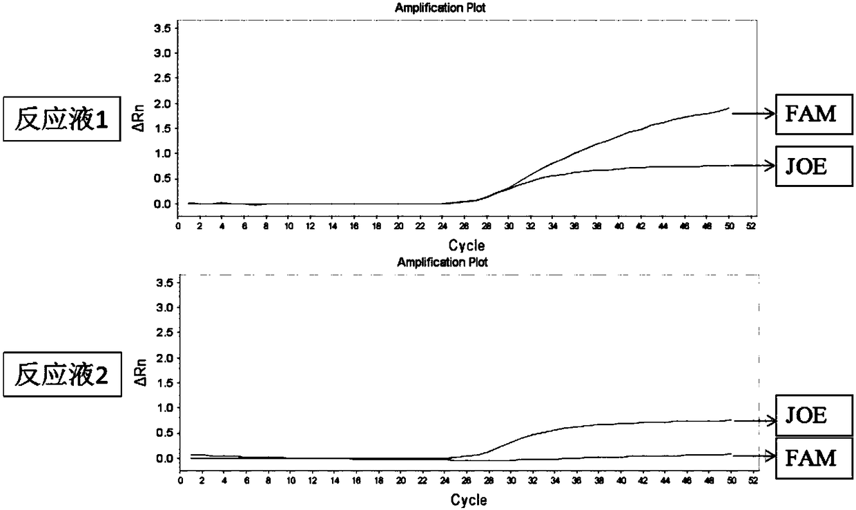 Primer pairs and kit for detecting warfarin medication related gene polymorphism