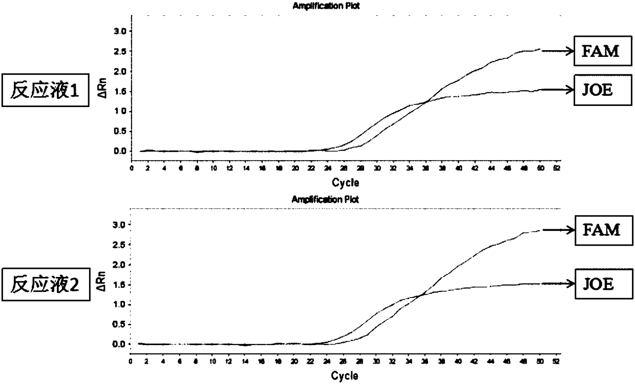 Primer pairs and kit for detecting warfarin medication related gene polymorphism