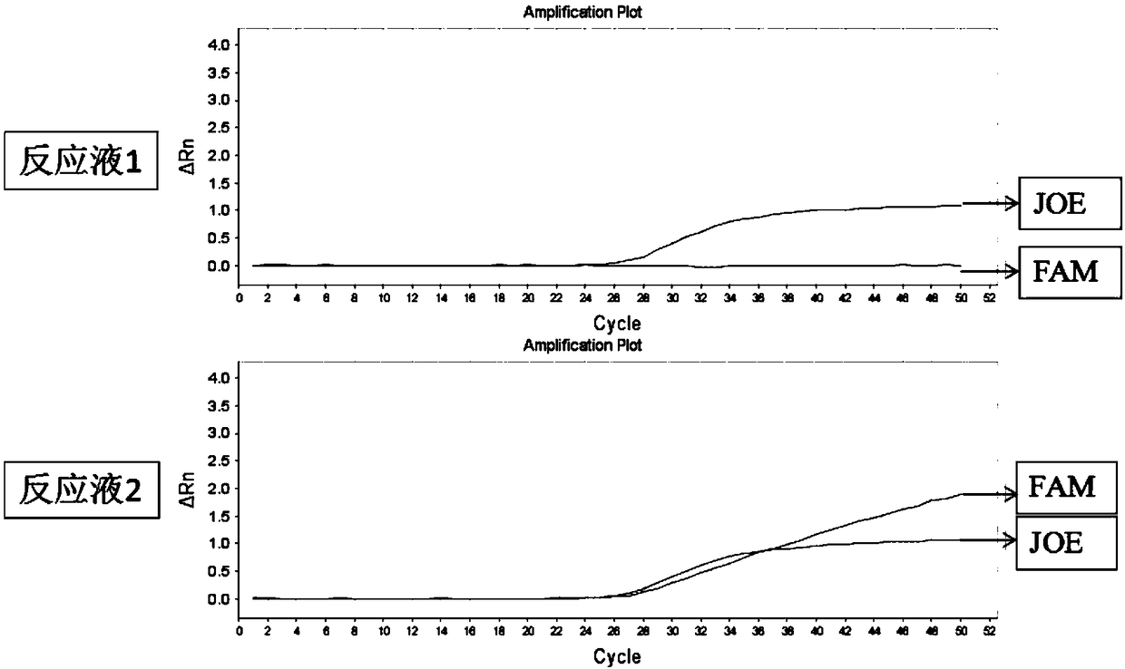 Primer pairs and kit for detecting warfarin medication related gene polymorphism