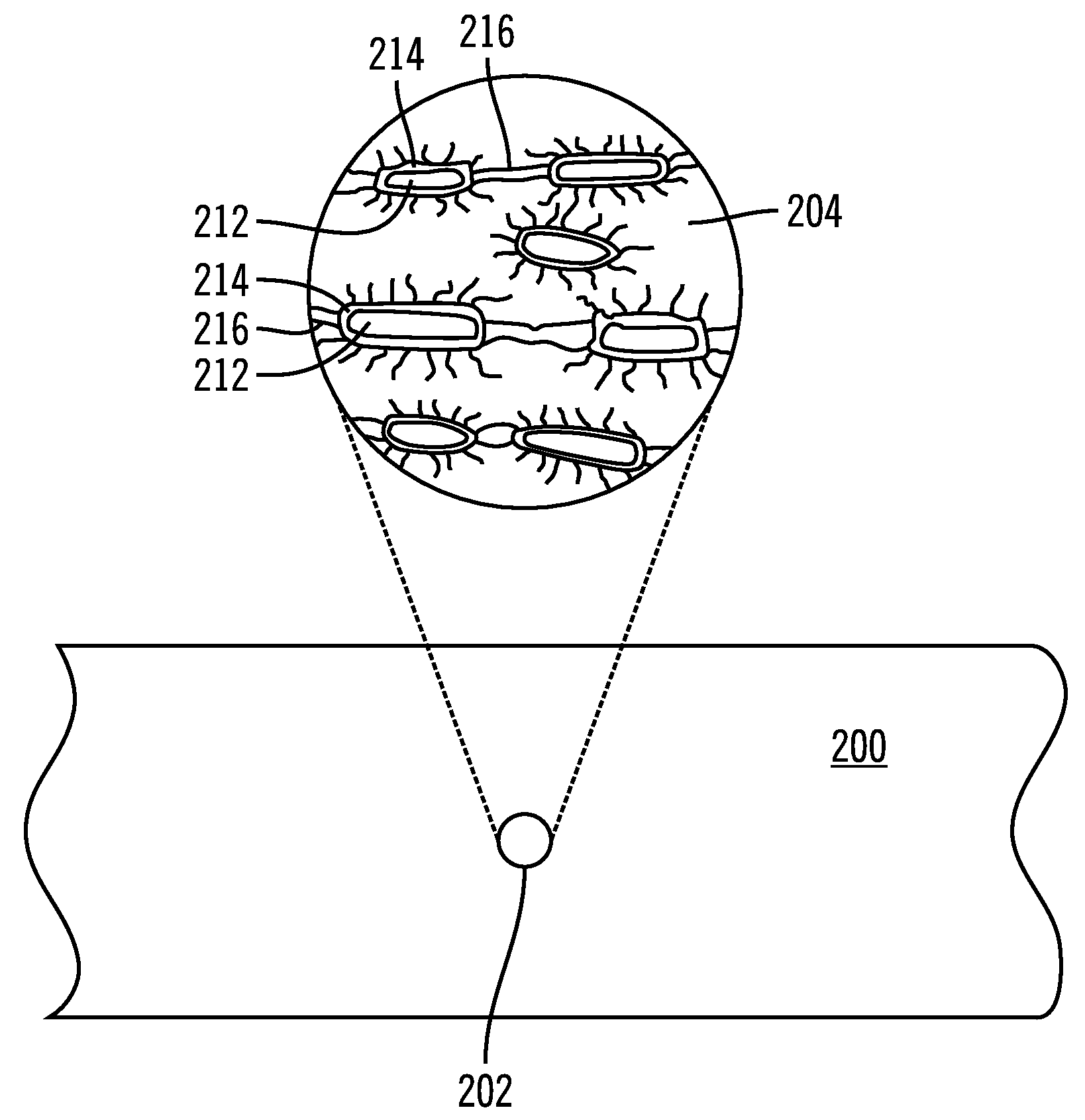 Protective coating of magnetic nanoparticles