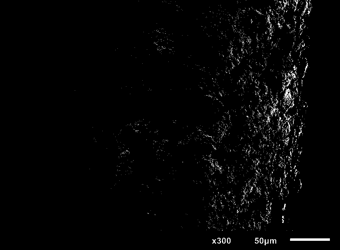 SPME extracting fiber of porous organic framework coating and preparation method of SPME extracting fiber