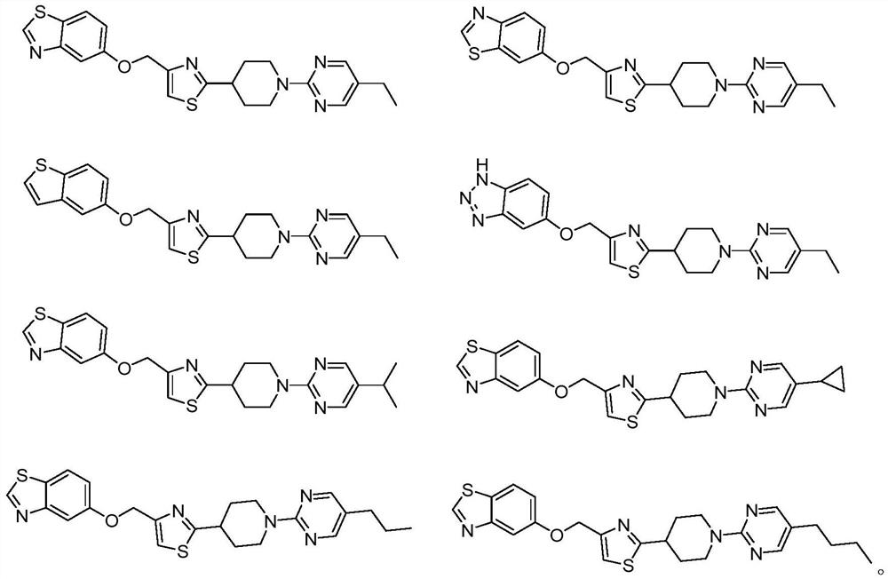 Novel benzoheterocyclic ether derivative, preparation method thereof and application of novel benzoheterocyclic ether derivative in hypoglycemic drugs