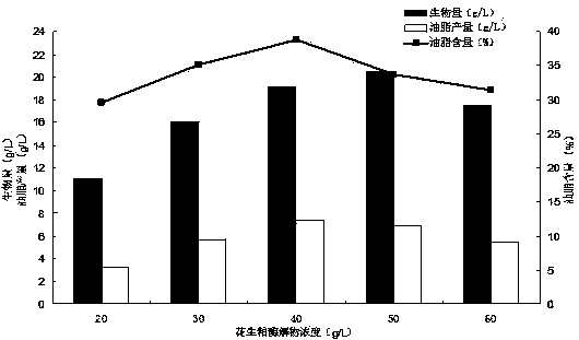 Fermentation method for promoting high yield of oil of rhizopus arrhizus and used culture medium