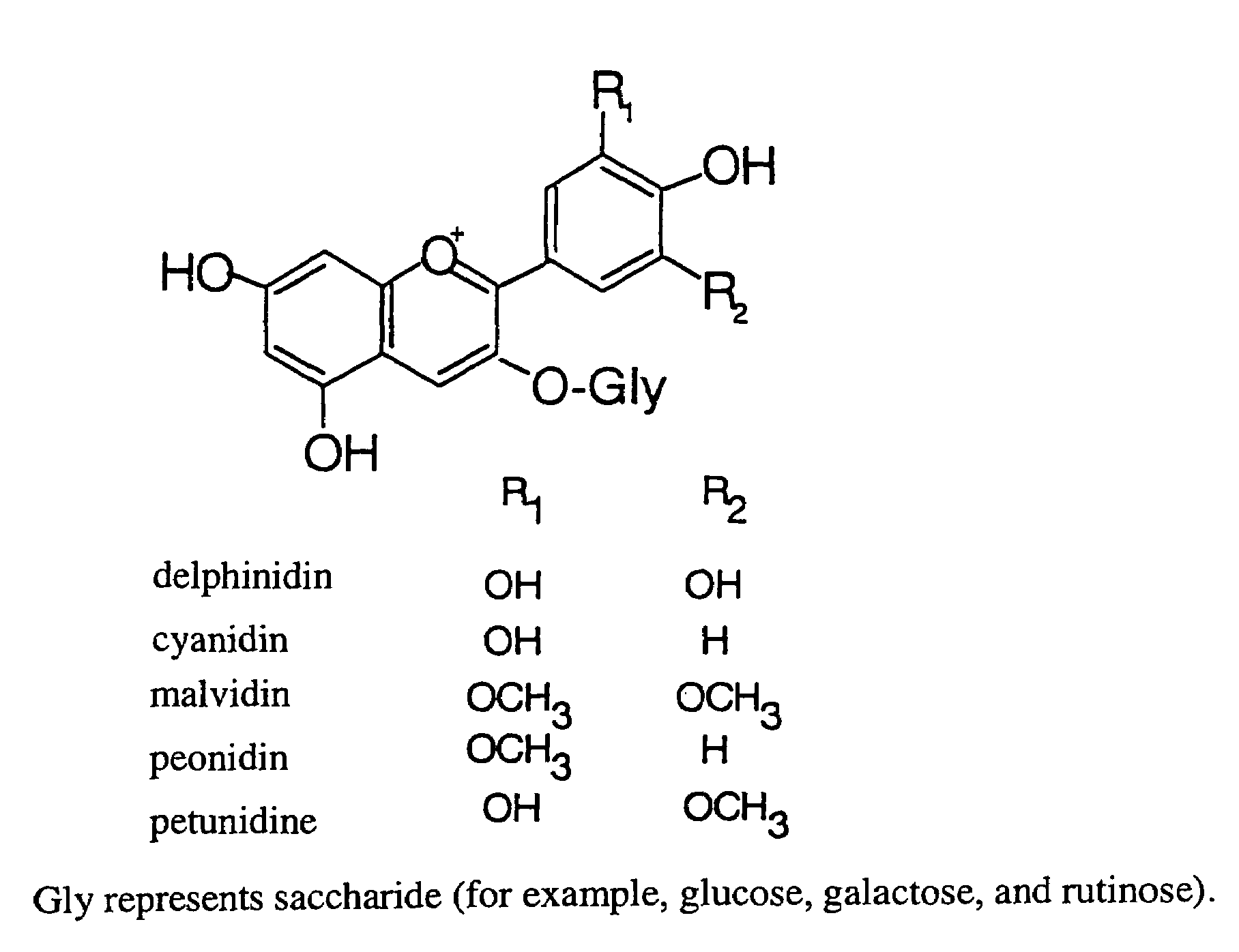 Compositions for foods, process for producing the same and functional foods and drinks containing the same