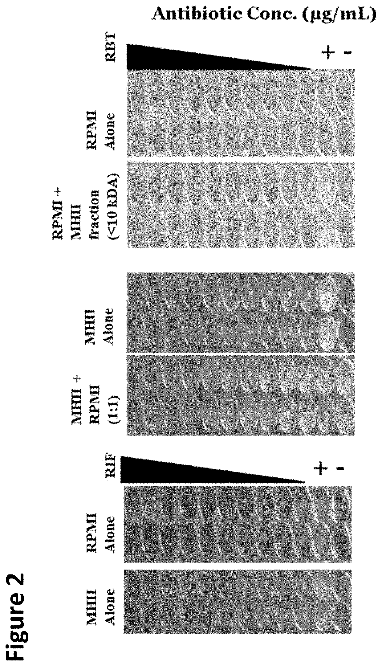 Rifabutin for the treatment of acinetobacter baumannii