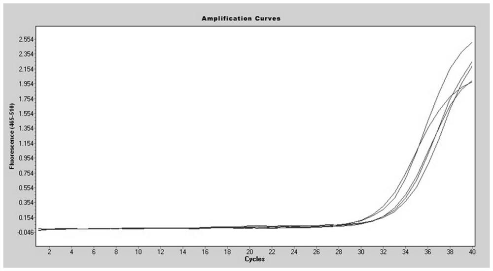 Reagent and kit for vascular calcification diagnosis, and application