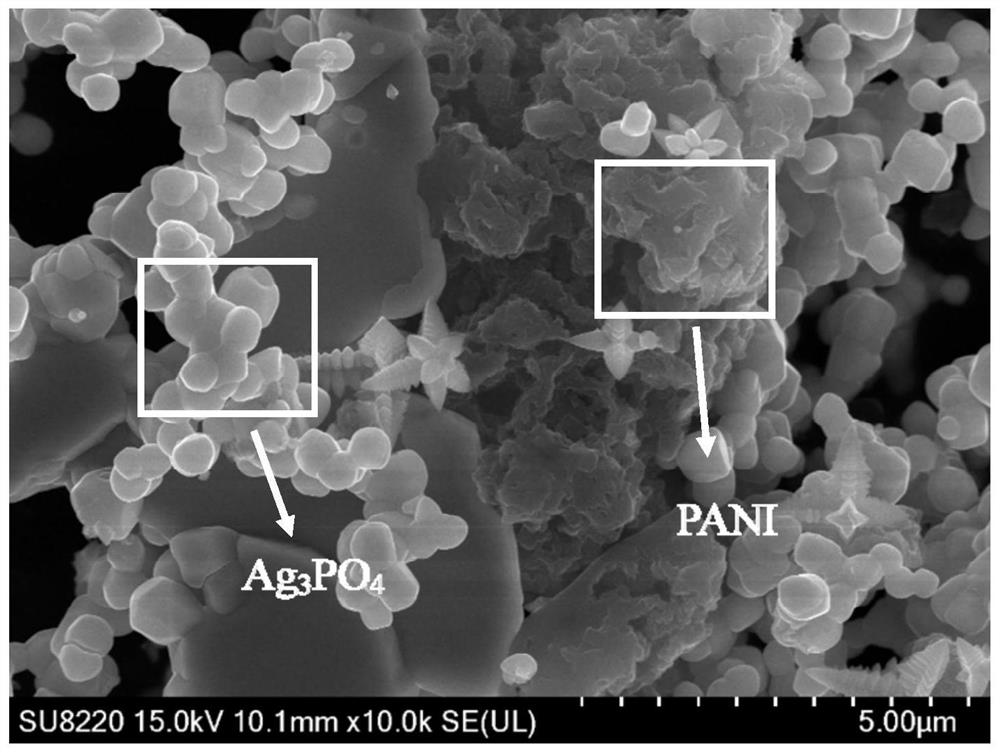 A silver phosphate composite photocatalyst for treating rose bengal b in high-salt wastewater and its preparation method and application