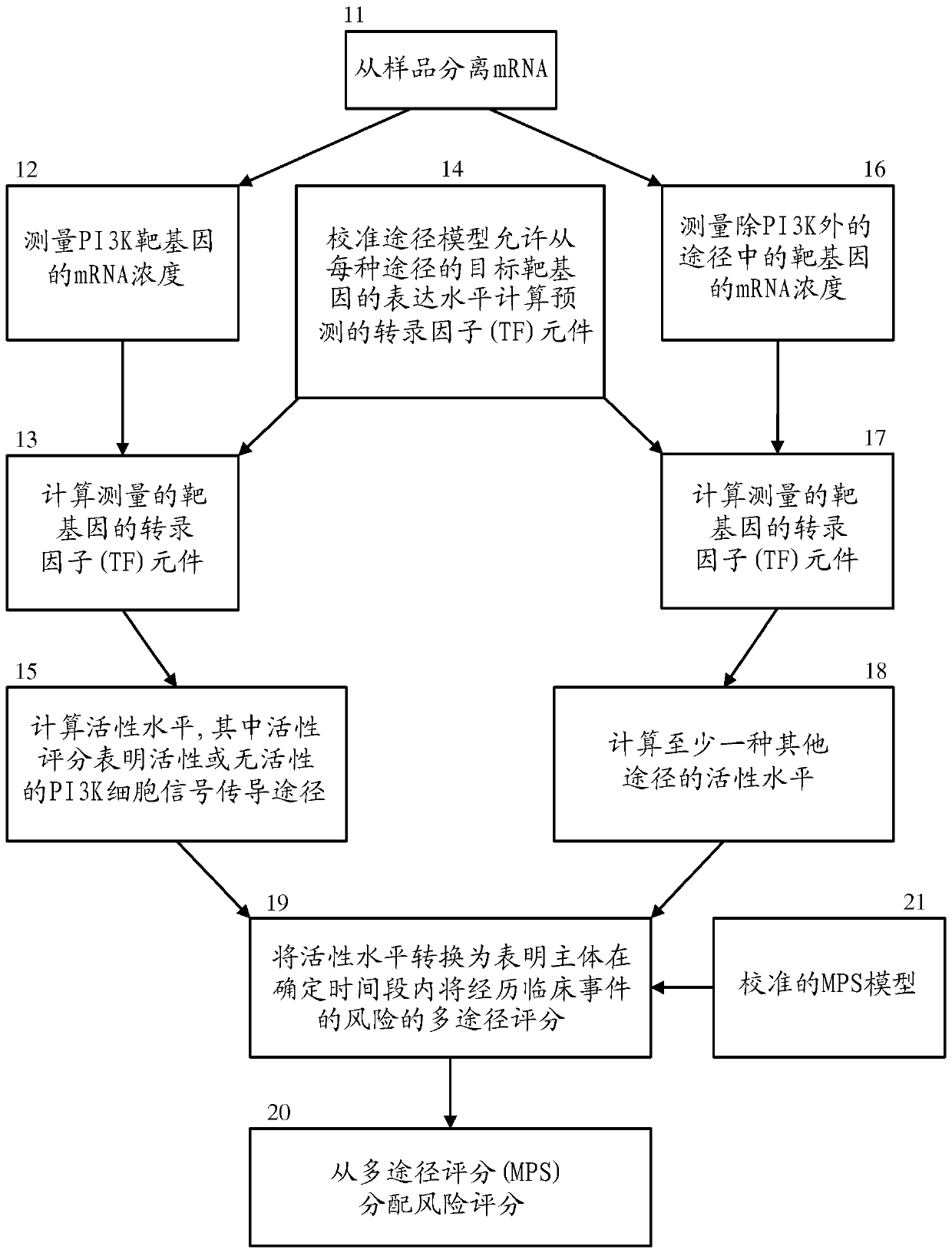 Medical prognosis and prediction of treatment response using multiple cellular signaling pathway activities