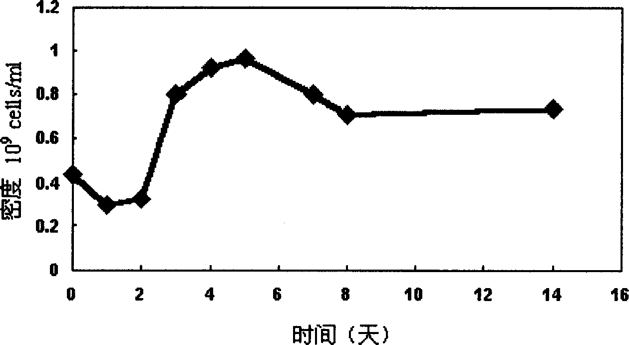 Method for forming block from divided sponge organs