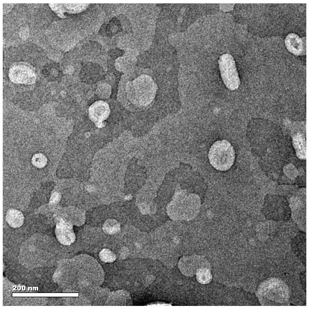 Hypocrellin cationic liposome preparation and preparation method and application thereof